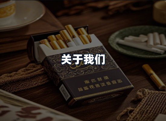 关于我们